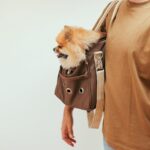 Person Holding a Bag with a Dog