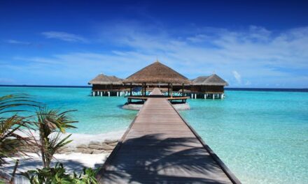 The Ultimate Solo Travel Guide: Planning, Safety & Confidence